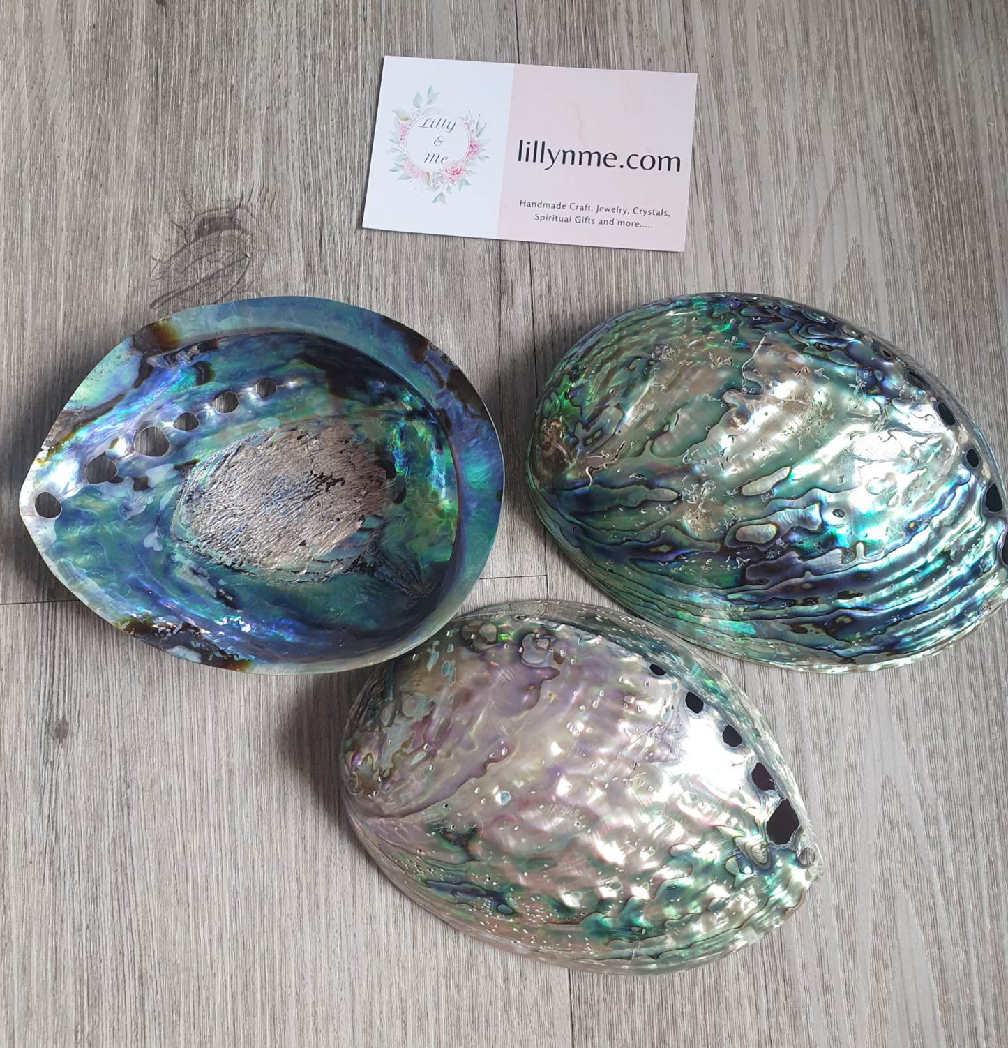 Abalone Shell